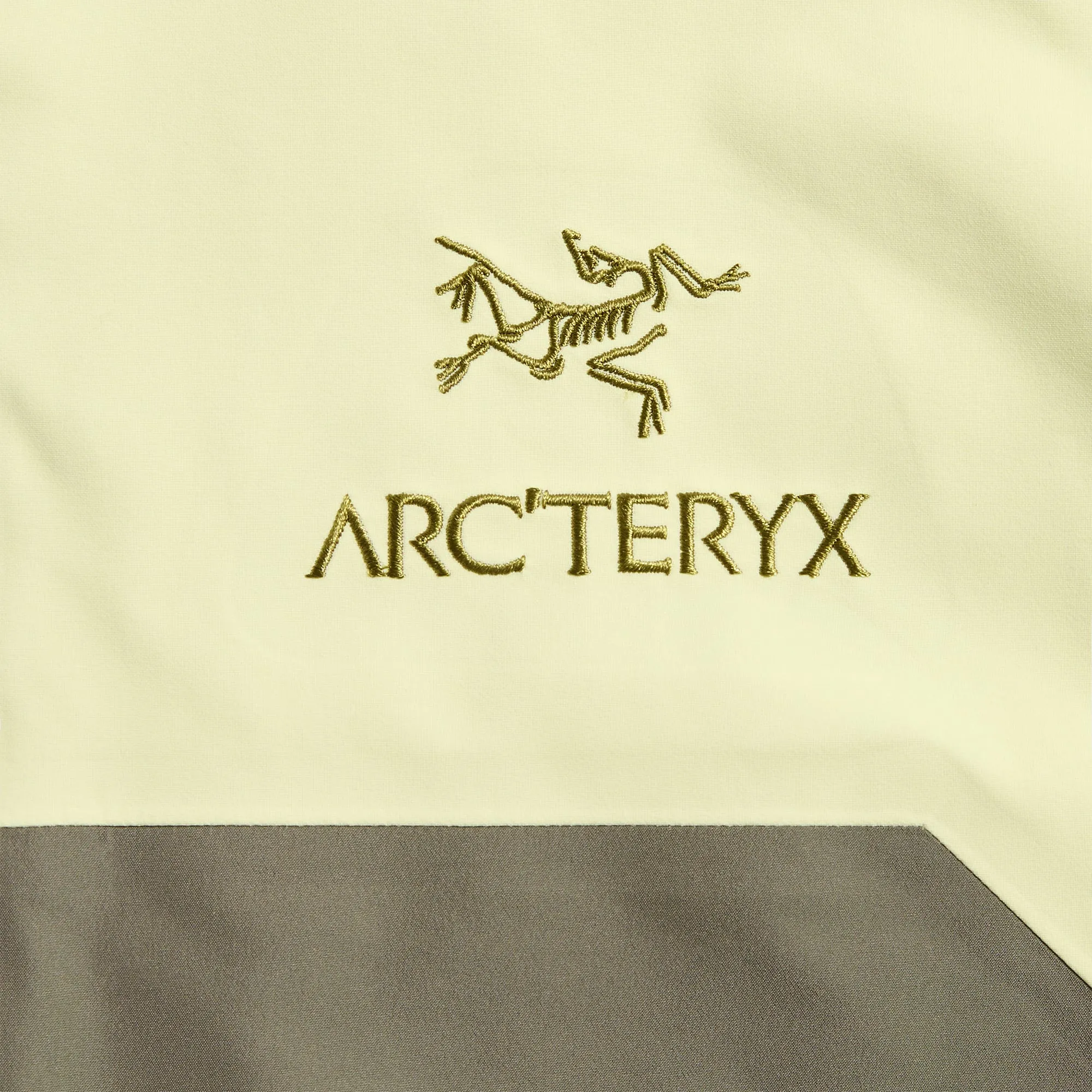Water Resistant Design Arc'teryx Beta AR Jacket- Ray / Forage