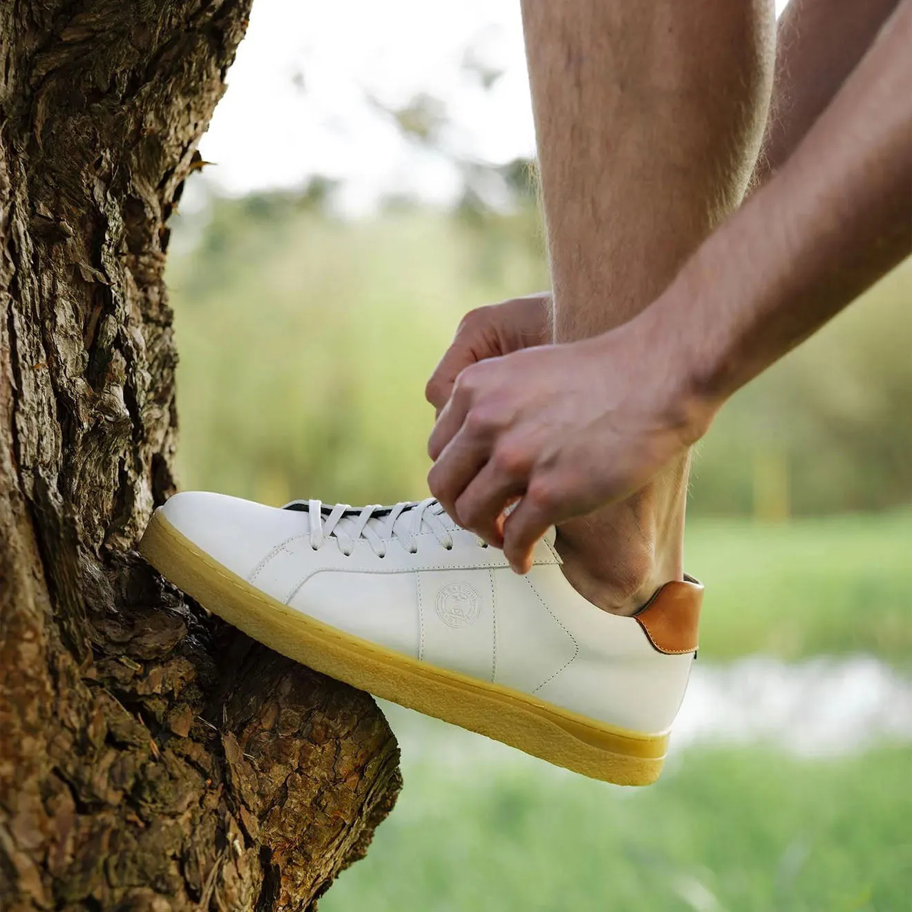 Barbour Reflect Trainer Off White Star Walk