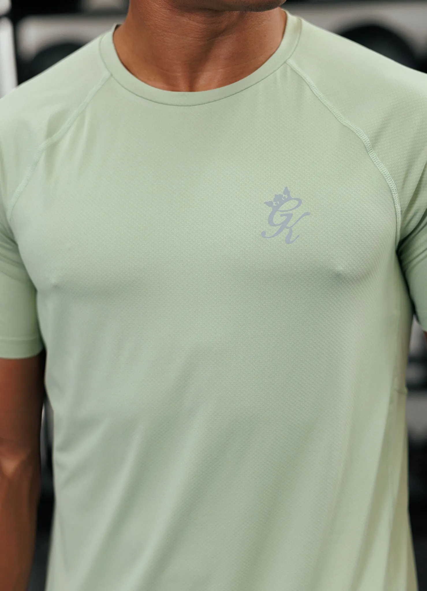 Animal Print Gym King Energy Tee - Washed Sage