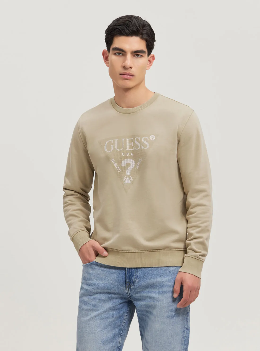 Minimal Comfort Eco Beige Triangle Logo Jumper