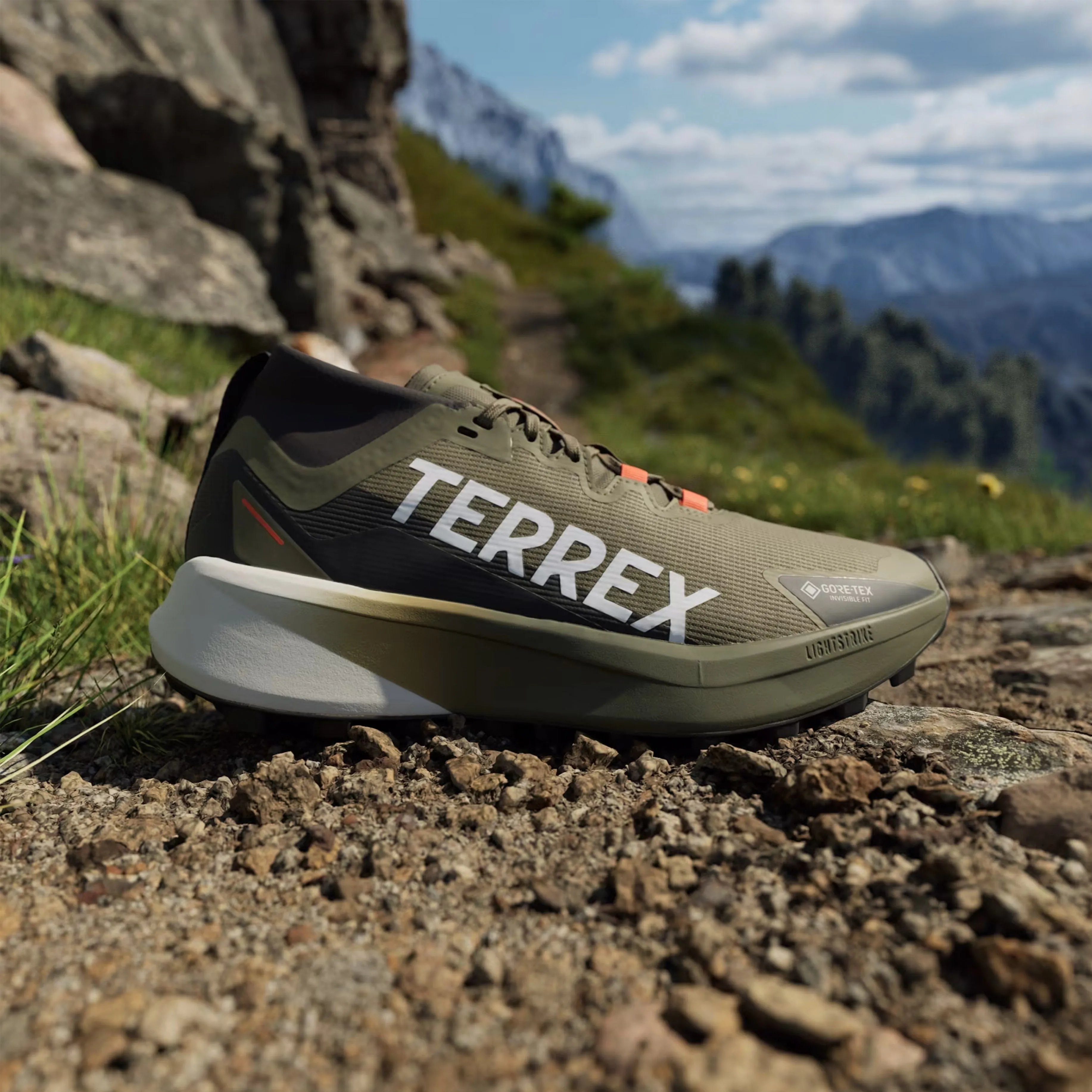 Energy Core Pool Time Adidas Terrex trail running shoes Agravic Black / Green